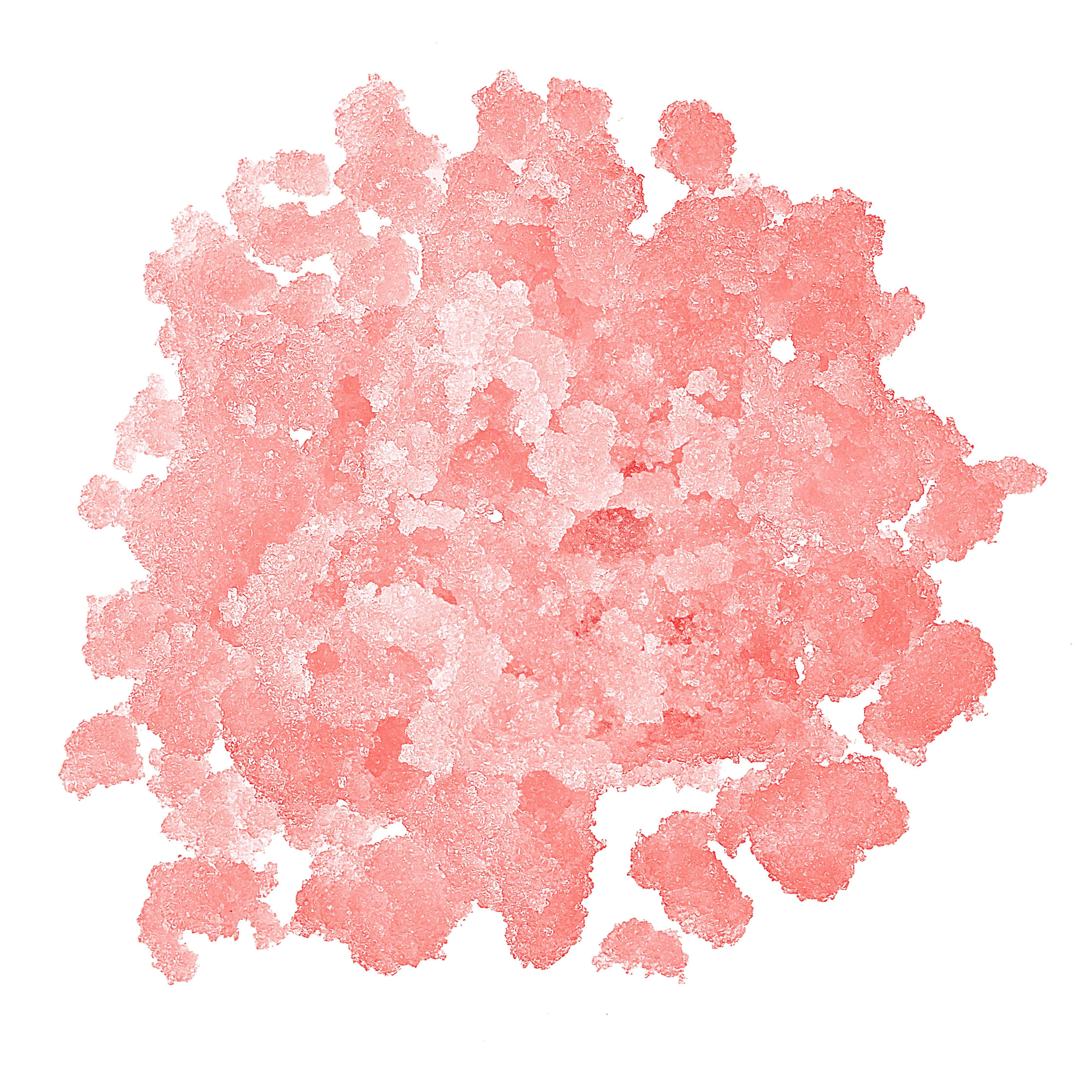 Soufflé Lip Scrub | Strawberry Cheesecake - Image 2